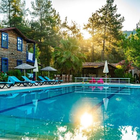 Olympos Forest House Hotell Yazir  Eksteriør bilde
