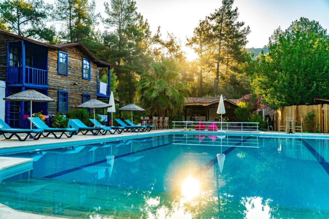 Olympos Forest House Hotell Yazir  Eksteriør bilde
